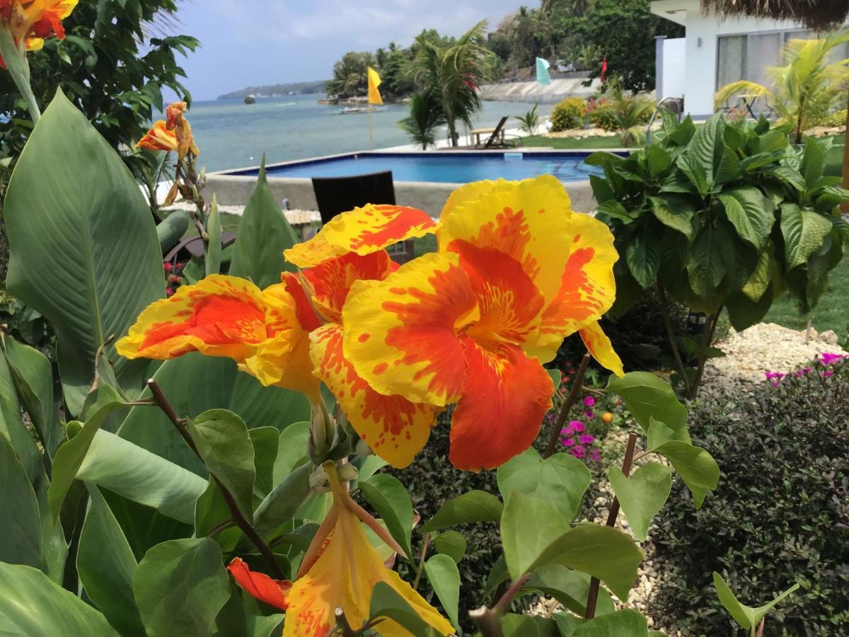 Bamboobeachvilla2 Ac New Oceanfront Pool Sunsetview Garden Kitchen Satellite Starlink Wi-Fi Dimiao Екстер'єр фото